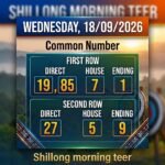 Shillong Morning Teer R esult Common Number: Complete Guide to Common Numbers